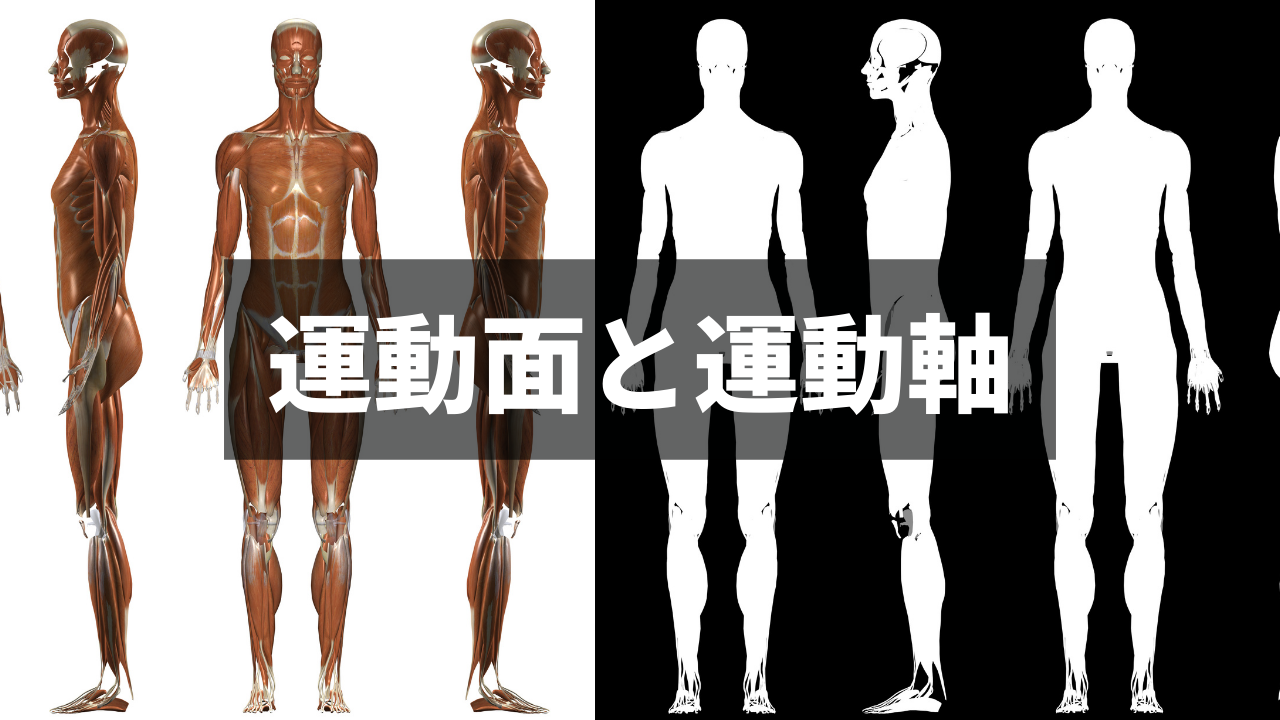 【運動学総復習】運動面と運動軸
